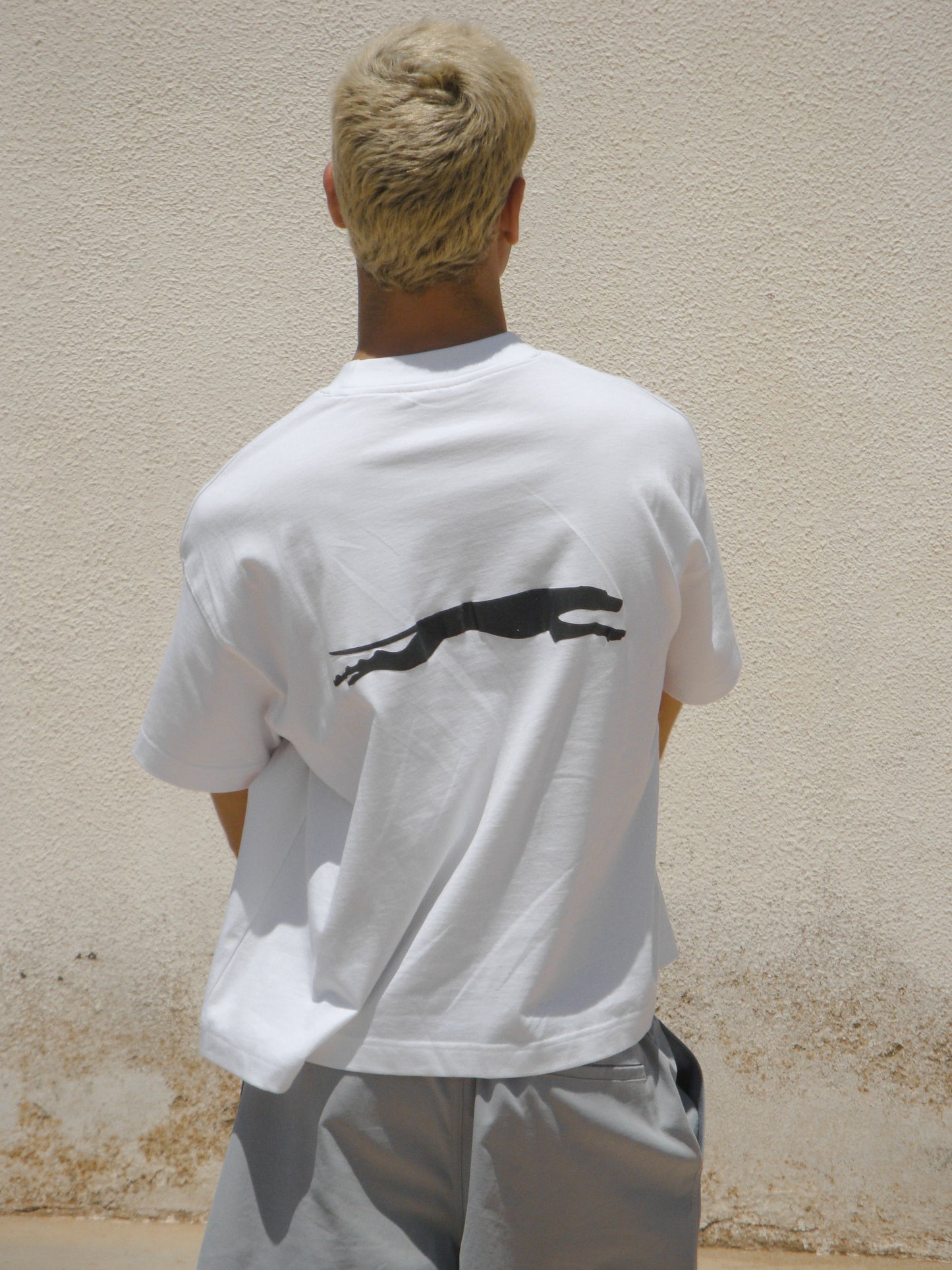 Hound Boxy Tee